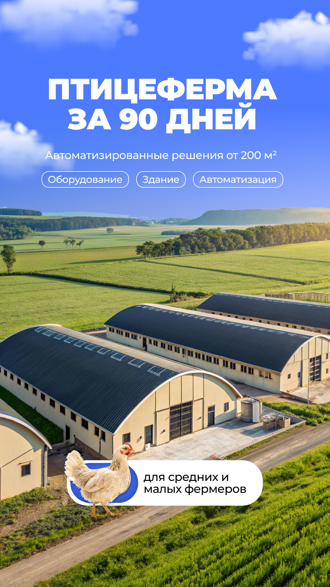 Креатив для таргета - изображение 1